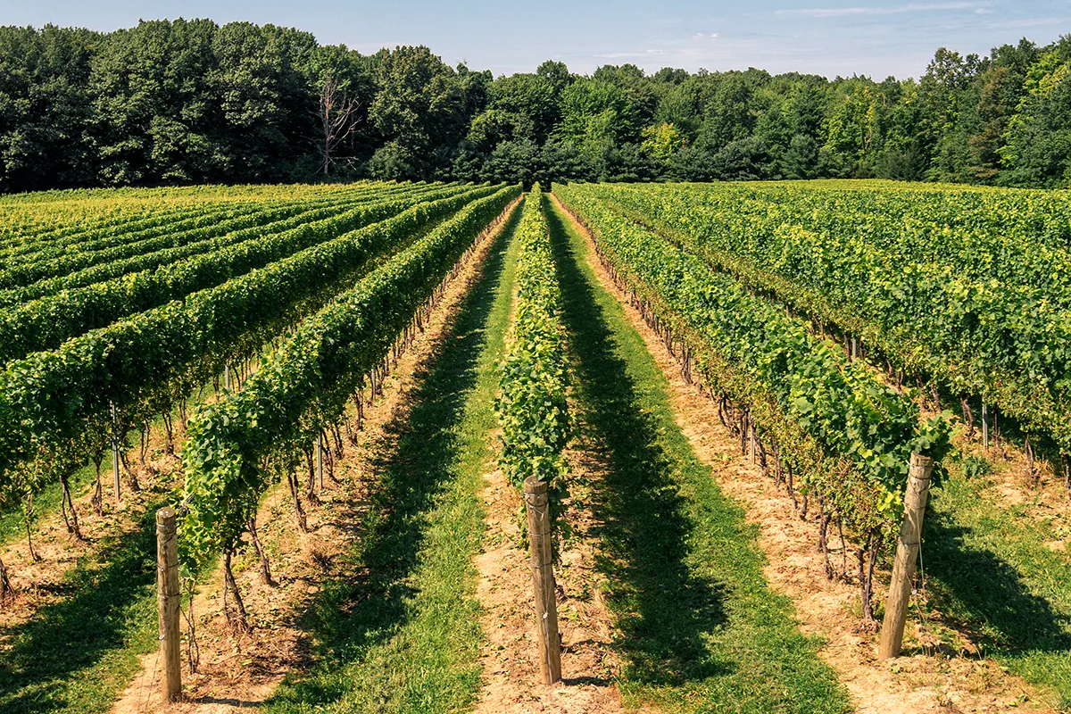 Cherry Road Winery