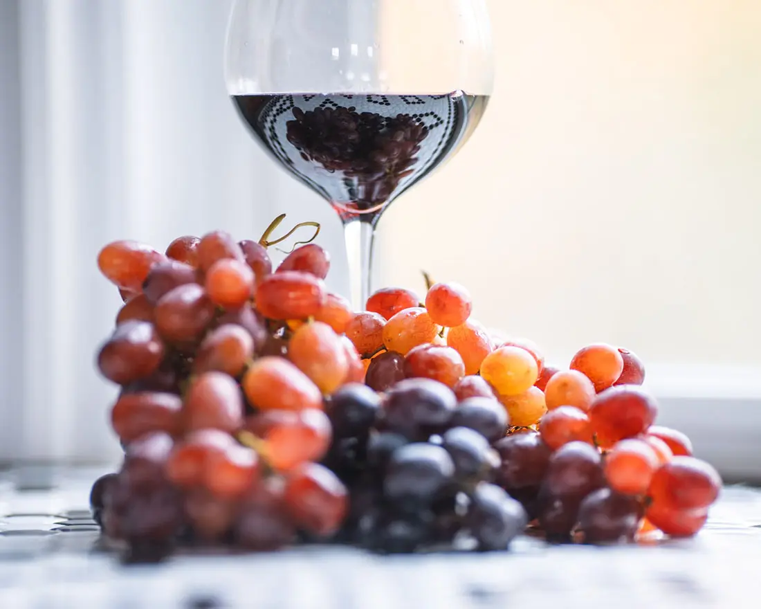 Maize Valley Winery & Craft Brewery