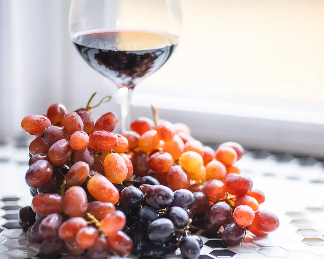 Maple Ridge Vineyard